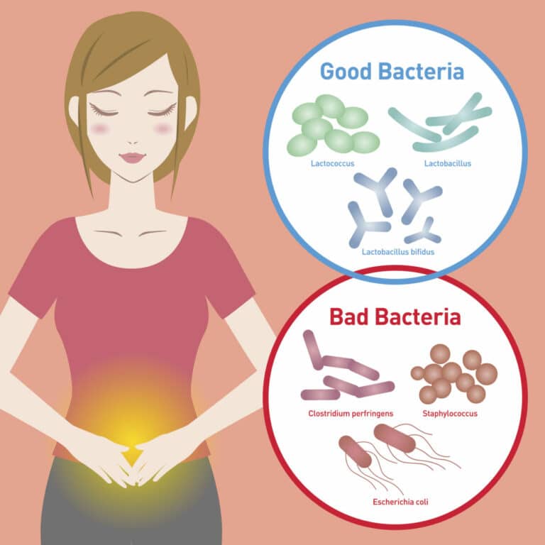 6 Probiotika, die basisch verstoffwechselt werden